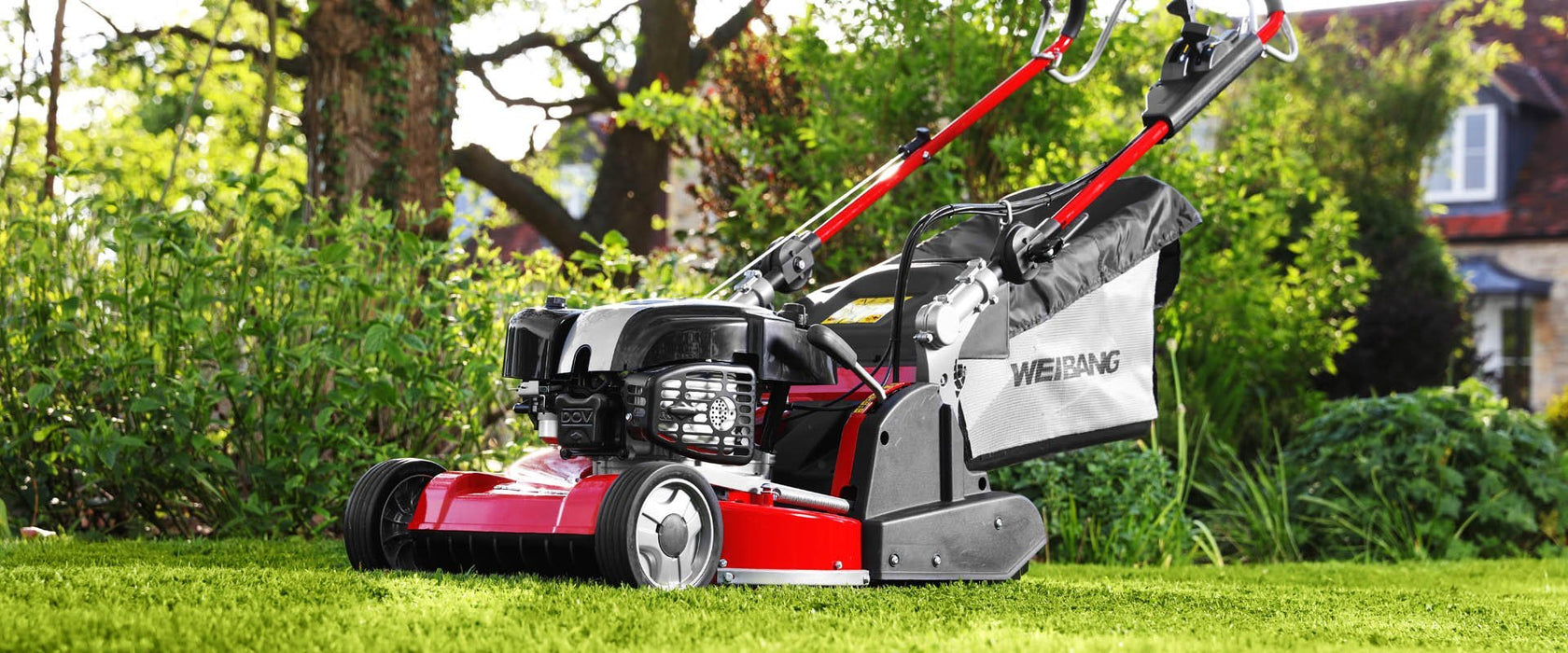 Weibang Rear Roller Mower 48cm Self Propelled Commercial Mower