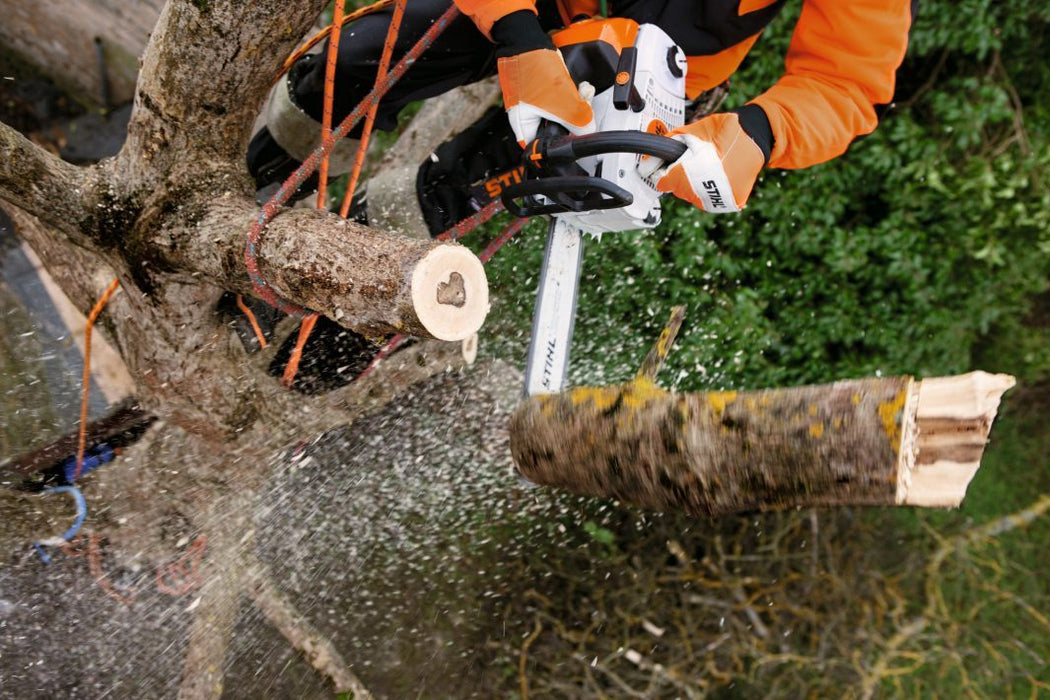 MS 201 TC-M arborist Chainsaw 12 Inch