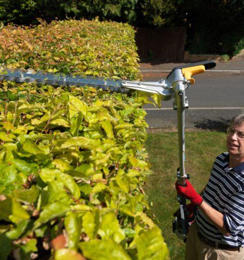 Honda SSHHLU Hedge Trimmer Split Shaft