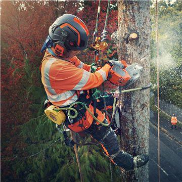 Husqvarna T535IXP 36V LI12" Battery Chainsaw