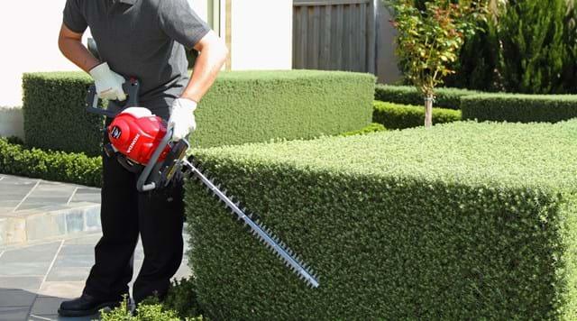 Honda HHH25D75UT Petrol Hedge Trimmer