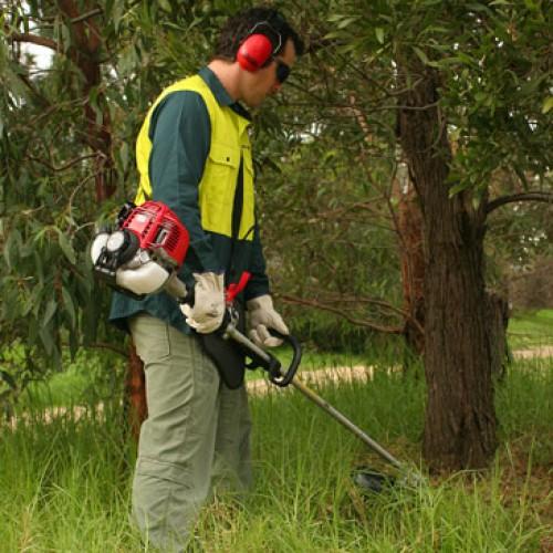 Honda UMK435ULGUT Petrol BushCutter