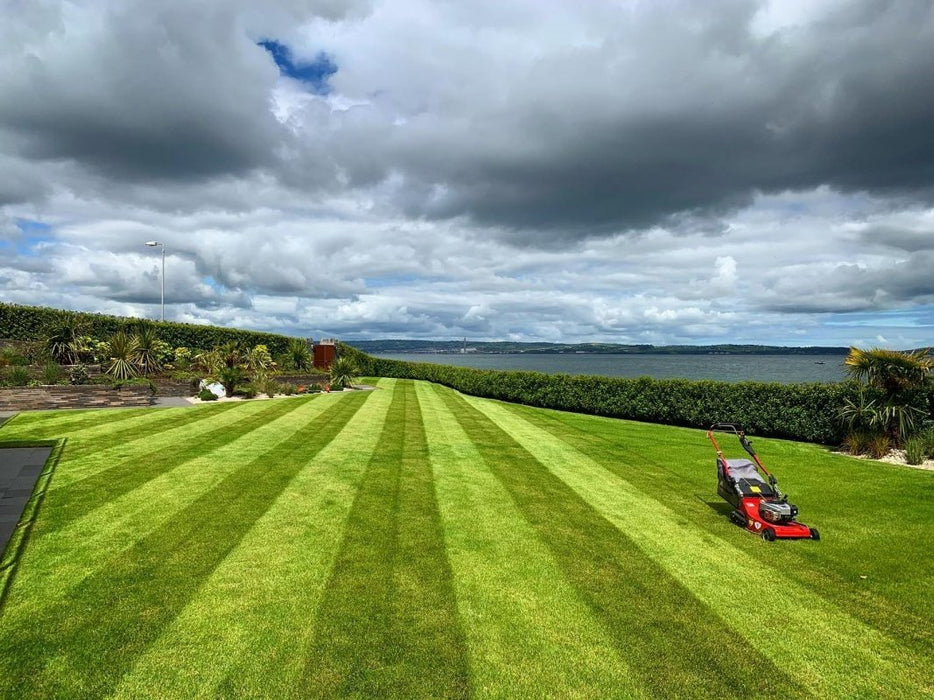 BUSHRANGER Rear Roller Mower